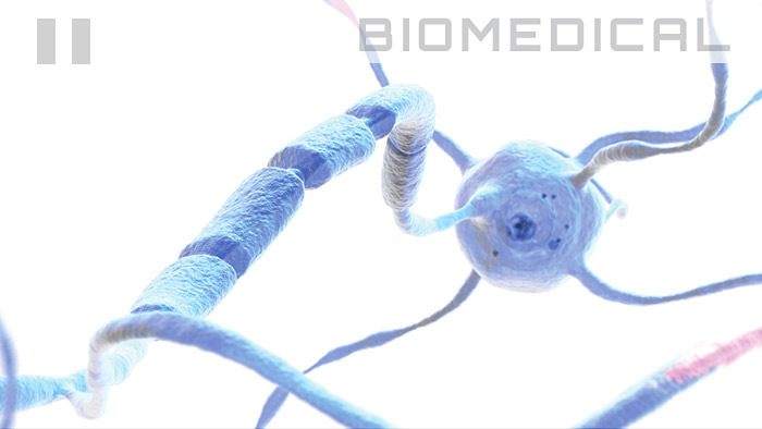 Biomedical 3D illustration of neuron, focussing on the Nodes of Ranvier